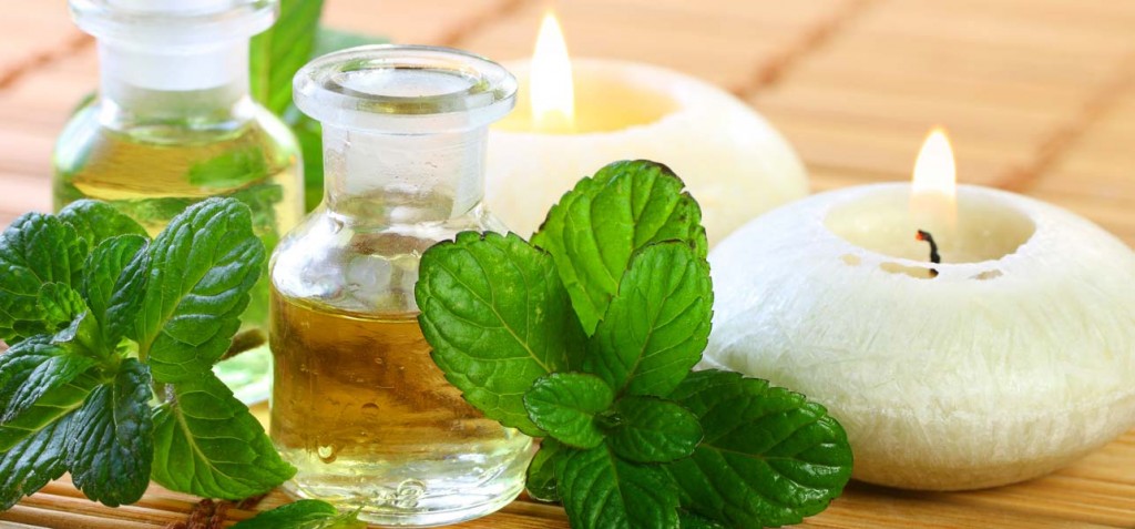 Image result for 10 Practical Uses for Natural, Organic Peppermint Oil