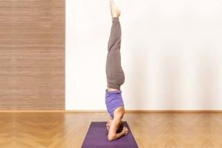 Yoga For Weight Loss - Shirshasana shirshasana