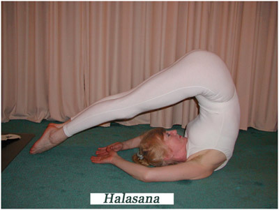 halasana yoga benefits