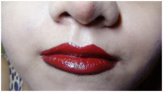 lip liner red lipstick