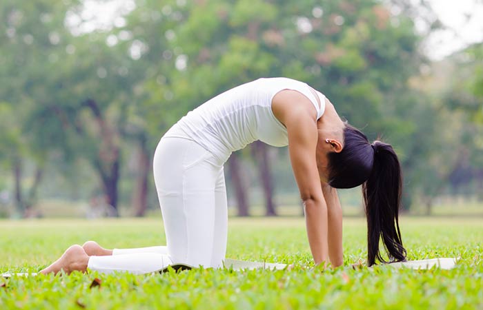 Marjariasana - Yoga Poses For Beginners
