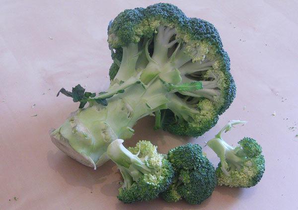broccoli broccoli