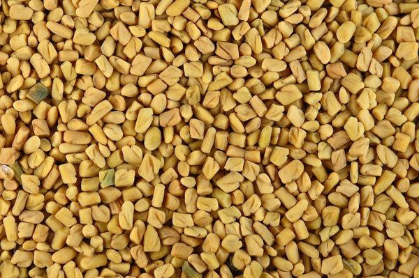 side effects of fenugreek seeds side effects of fenugreek seeds