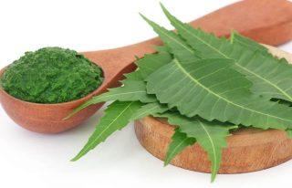 White Spots On Skin - Neem For Vitiligo 16.-Neem-For-Vitiligo