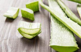 White Spots On Skin - Aloe Vera For White Spots On Skin 2.-Aloe-Vera-For-White-Spots-On-Skin