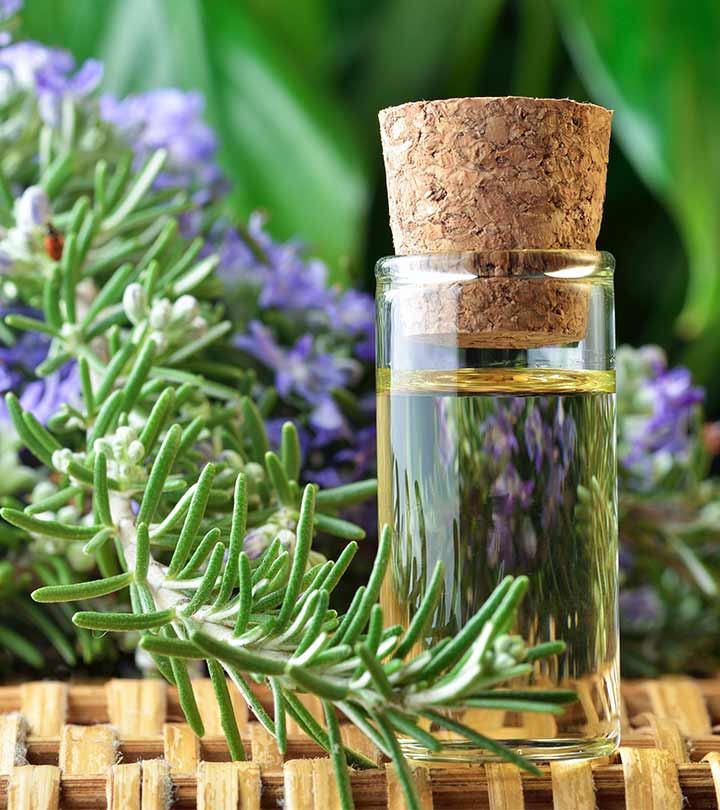 15 Best Rosemary Oil Uses and Benefits For Skin And Health