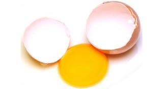 eggs and chicken eggs and chicken