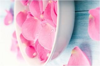 Rose Water Rose Water