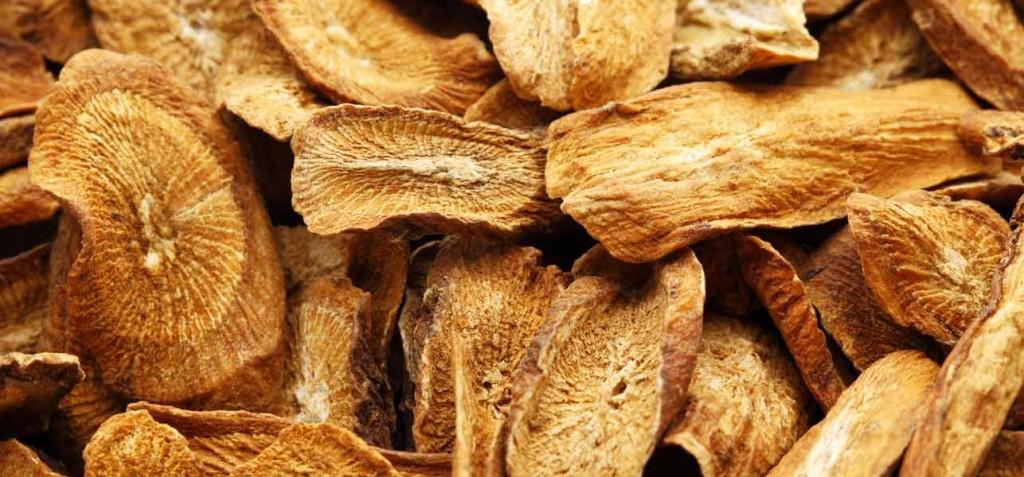 Burdock Root Benefits For Hair And Skin