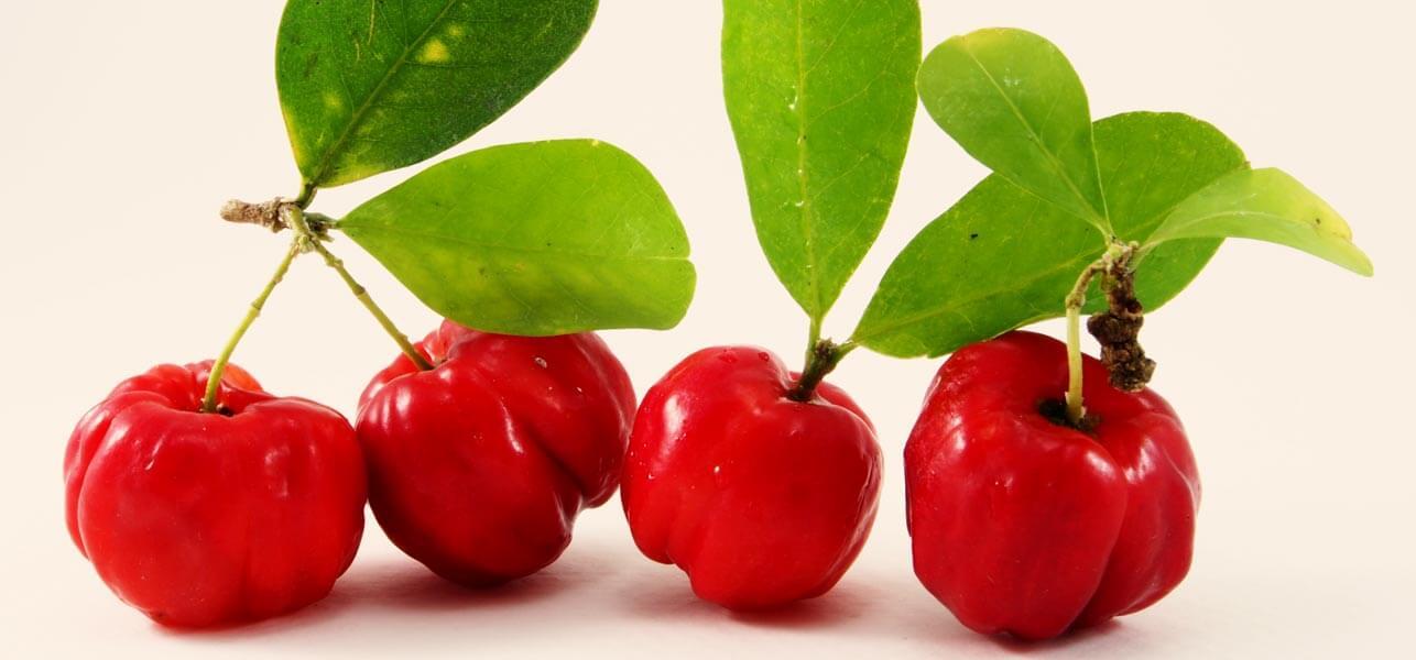 15-Amazing-Health-Benefits-Of-Acerola.jpg