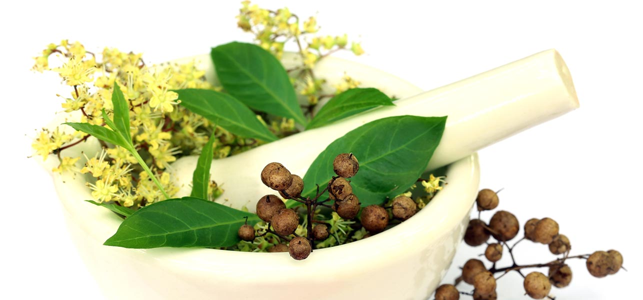 Centre for Traditional Medicines and Research has new plans to strengthen  Siddha | AuroBlog | Clinical Research Blog | Aurous HealthCare CRO, India