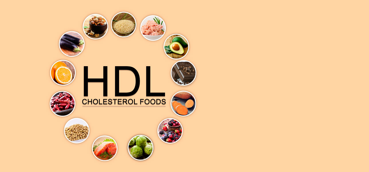 Hdl Cholesterol Rich Diet