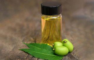 Neem For Eczema What Are The Benefits And How Does It Help