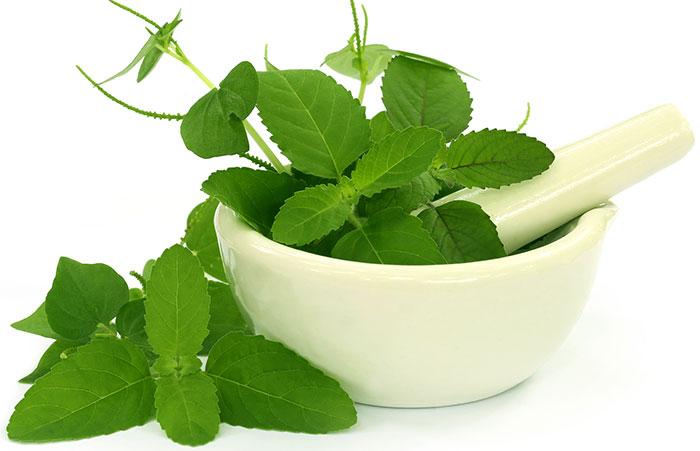 Tulsi Leaves