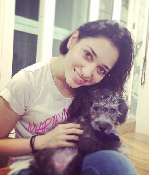 Tamanna’s love for dogs