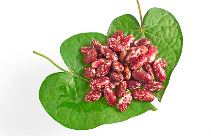 Kidney Bean Leaves
