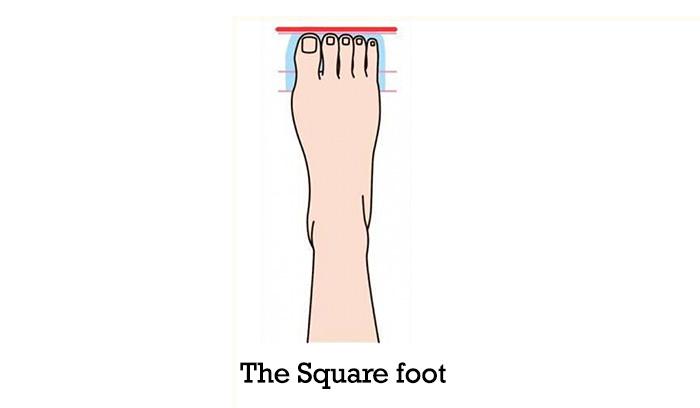 The-Square-Foot