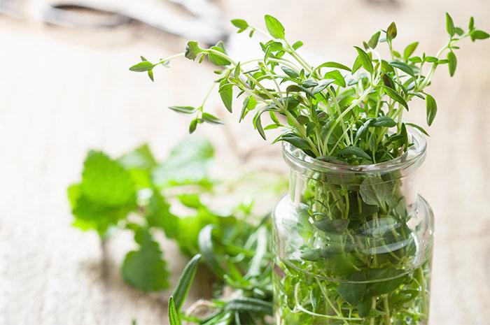 9. Fresh Tender Herbs In Watered Glassware