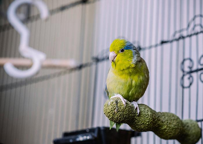 10 Stories Showing Why You Shouldn’t Rush To Judgment