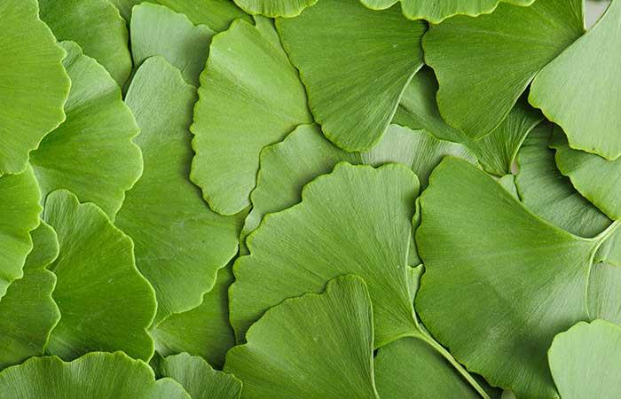 11. Ginkgo Biloba Supplements