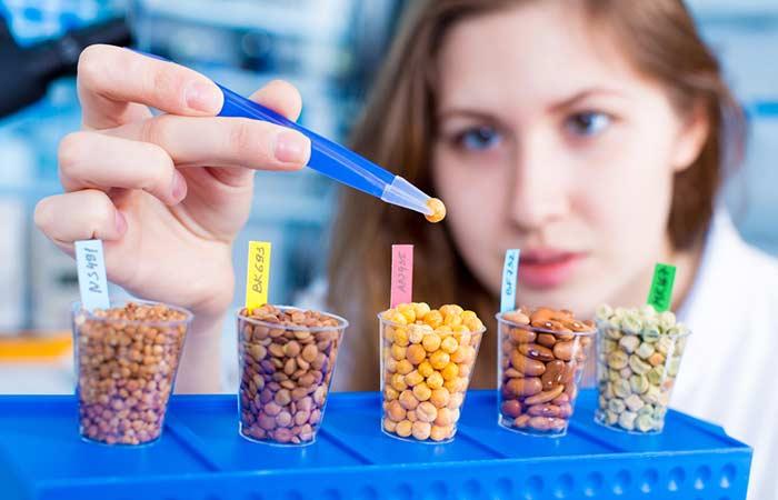 4. They Are Genetically Modified