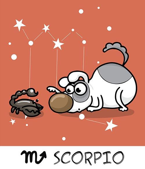 8. Scorpio (23rd October – 21st November)