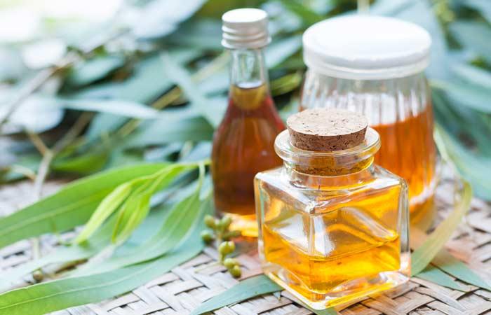 Eucalyptus Essential Oil