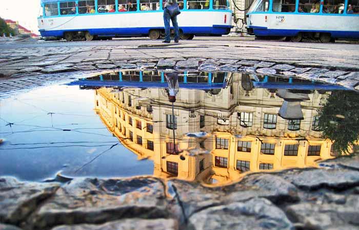 Make the best of small puddles and pools