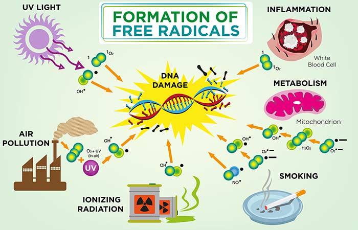 The Difference Between Lemon And Lime!