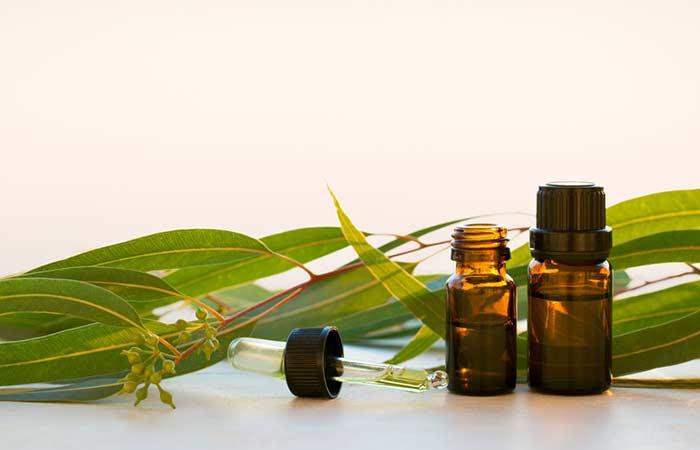 6. Eucalyptus Oil