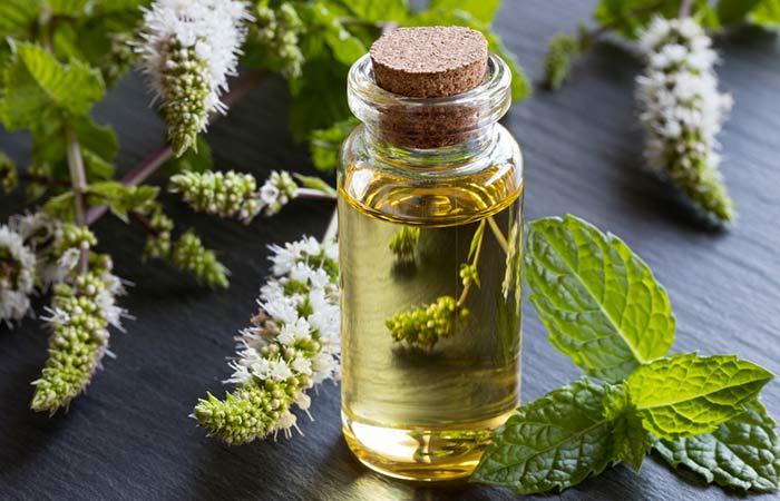 Peppermint Essential Oil