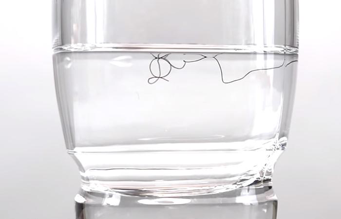 Float Test