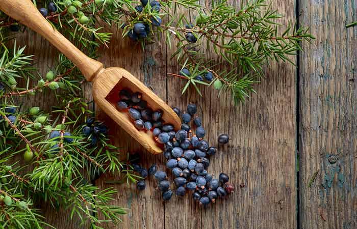 Juniper Essential Oil