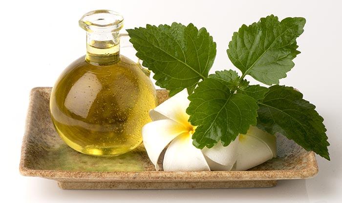 Patchouli Essential Oil