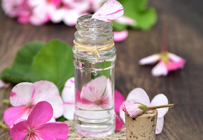 Rose Geranium Essential Oil