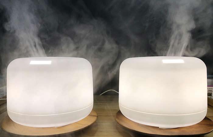 10 Best Humidifiers Of 2019 For A Healthier Home And Healthier You