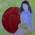 Profile picture of Shilpa