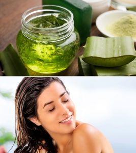 Aloe Vera For Hair: Benefits, How To ...