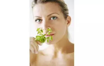 Benefits of mint for skin
