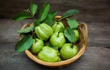 Guava leaves to get rid of fungal skin infections