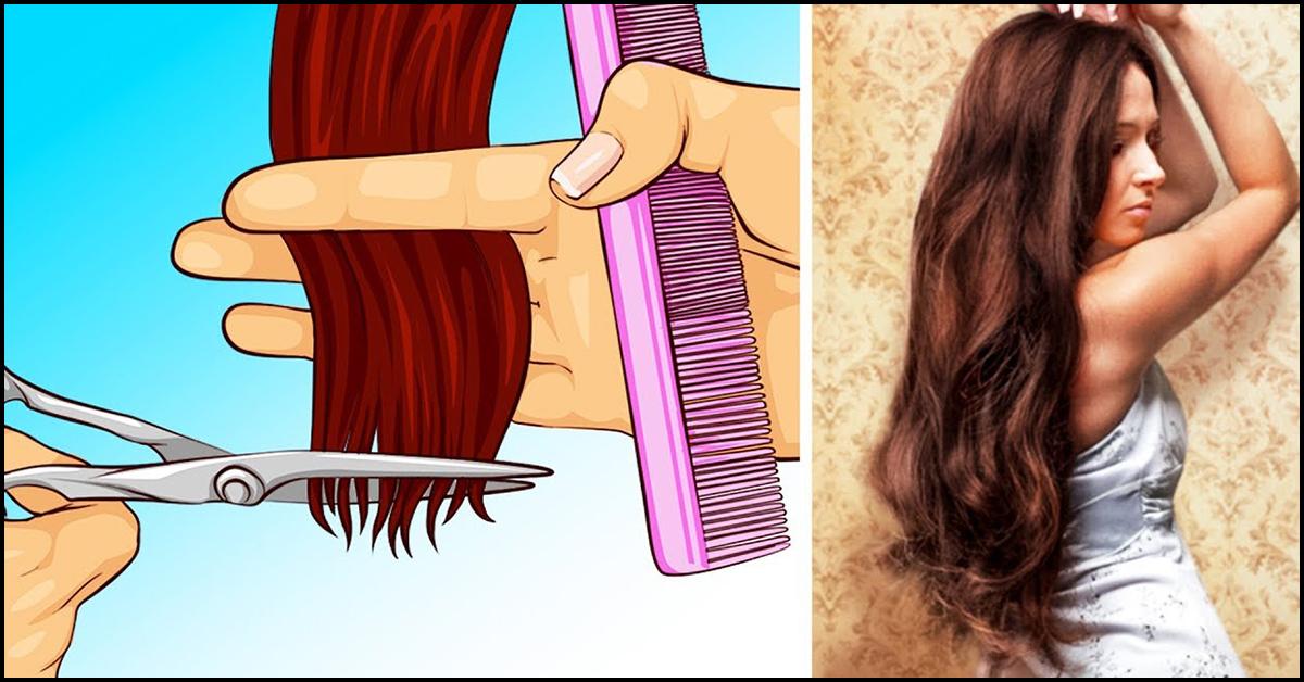 The Importance Of Trimming Split Ends