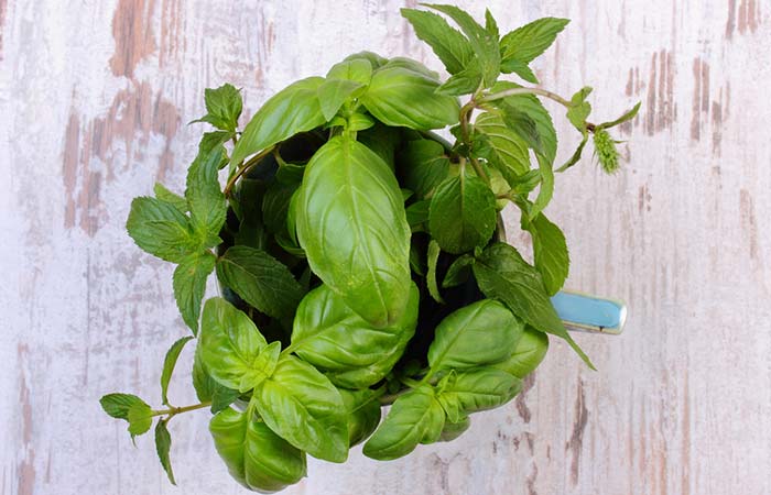 Basil and mint leaves for acne scars