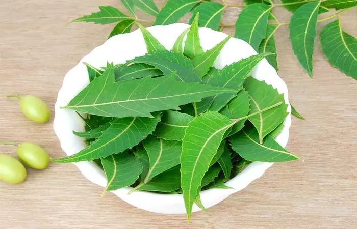 Neem leaves to get rid of fungal skin infections