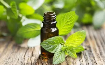 Make your feet soft with peppermint oil