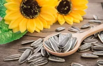 Sunflower seeds to grow nails faster