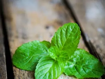 10 Benefits Of Mint (Pudina) For Skin And 11 Ways To Use It