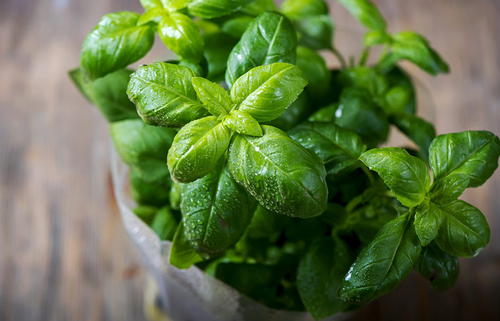 Basil leaves and saffron face pack for flawless skin and reduction of acne
