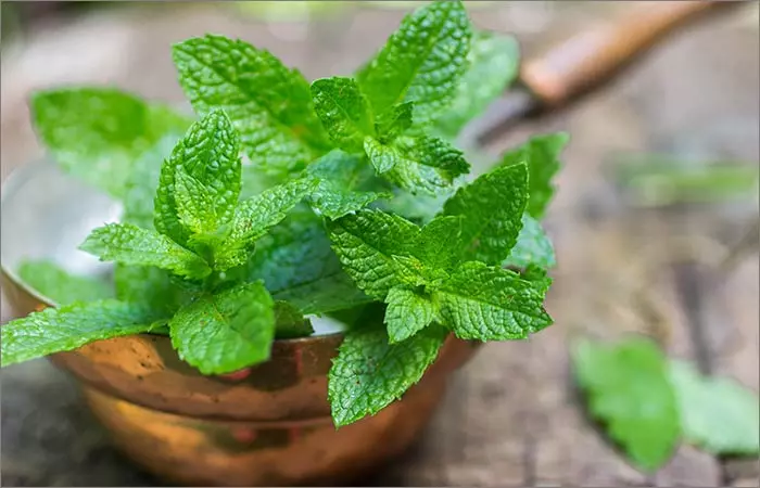 Mint leaves for homemade skin lightening face pack