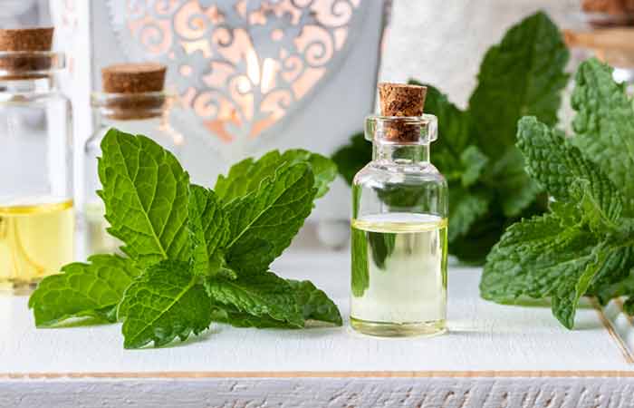 Peppermint is an herb for hair growth