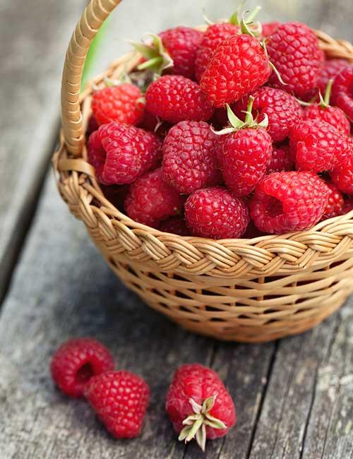 Belly Fat Burning Foods - Raspberries